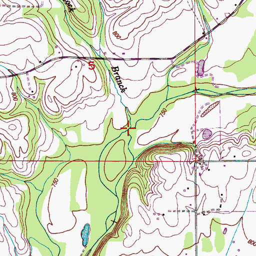 Topographic Map of Slate Rock Branch, AL