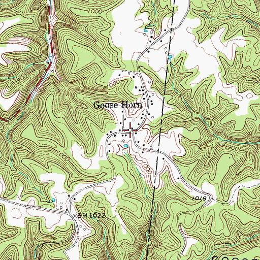 Topographic Map of Goose Horn, TN