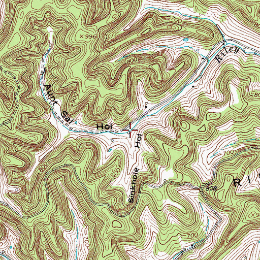 Topographic Map of Sinkhole Hollow, TN
