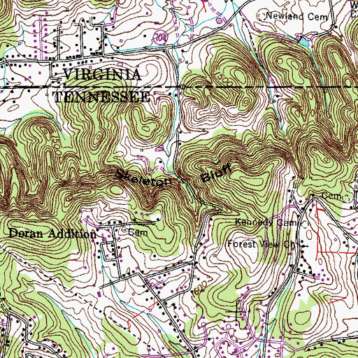 Topographic Map of Skeleton Bluff, TN