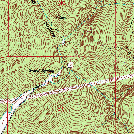 Topographic Map of Sneed Hollow, AL