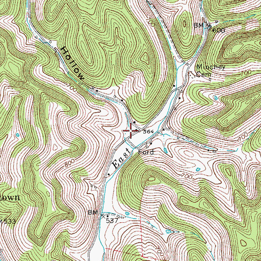 Topographic Map of Snead Hollow, TN