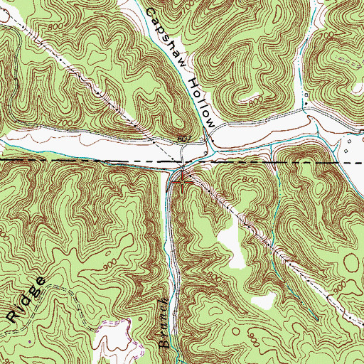 Topographic Map of Spring Branch, TN