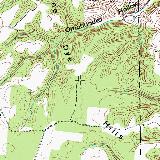 Topographic Map of Stone Dye Hills, TN