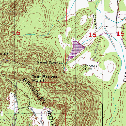 Topographic Map of Spout Spring, AL