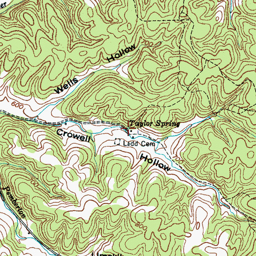 Topographic Map of Taylor Spring, TN