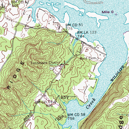 Topographic Map of Tennessee Chapel, TN