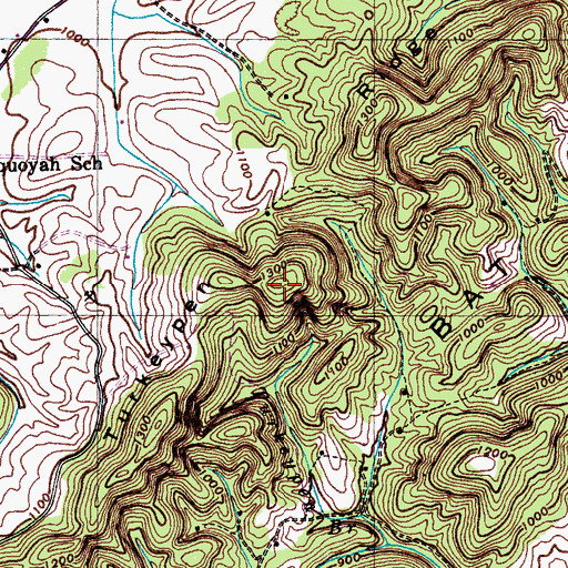 Topographic Map of Turkeypen Ridge, TN