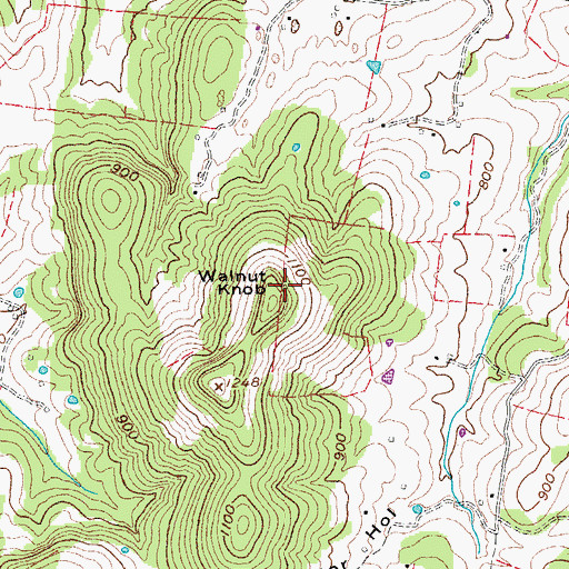 Topographic Map of Walnut Knob, TN