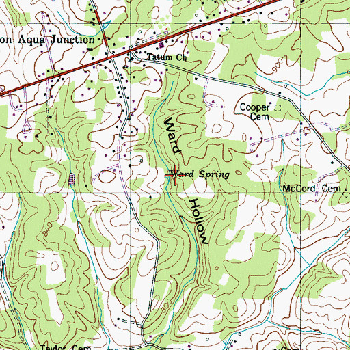 Topographic Map of Ward Spring, TN