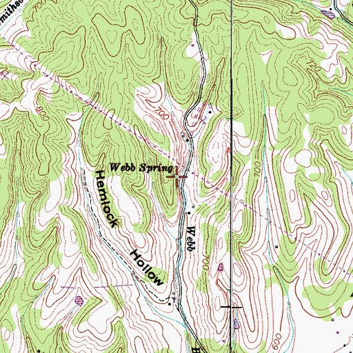 Topographic Map of Webb Spring, TN