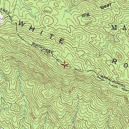 Topographic Map of White Rocks Mountain, TN