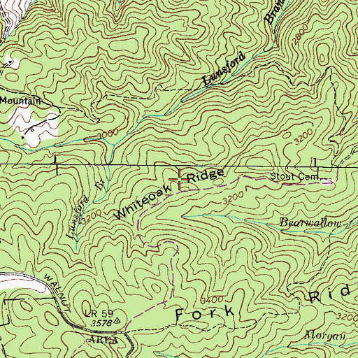Topographic Map of Whiteoak Ridge, TN