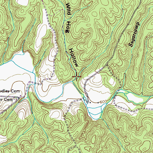 Topographic Map of Wild Hog Hollow, TN