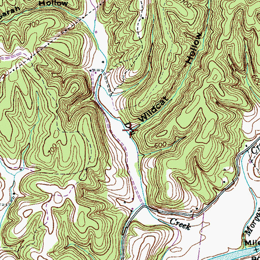Topographic Map of Wildcat Hollow, TN