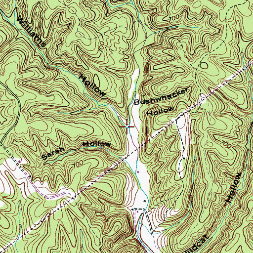 Topographic Map of Williams Hollow, TN
