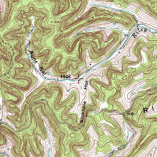 Topographic Map of Aunt Sal Hollow, TN