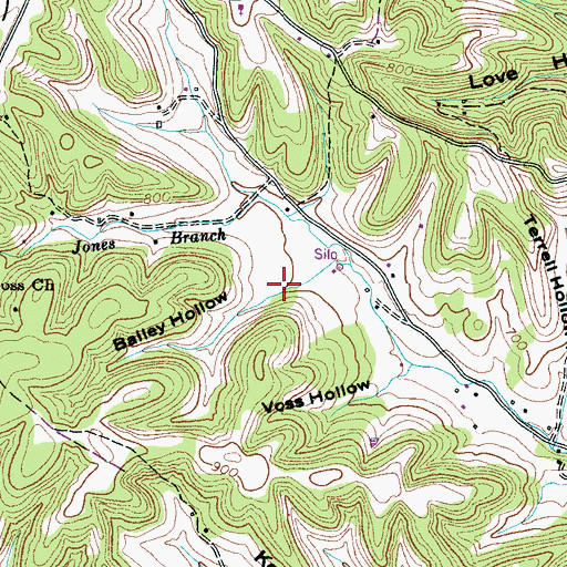Topographic Map of Bailey Hollow, TN