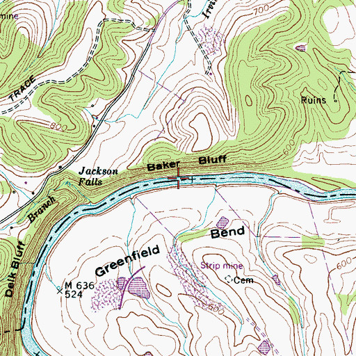 Topographic Map of Baker Bluff, TN