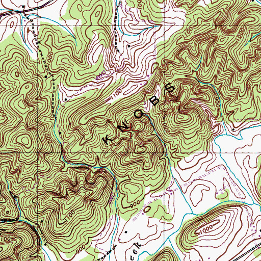 Topographic Map of Bat Creek Knobs, TN