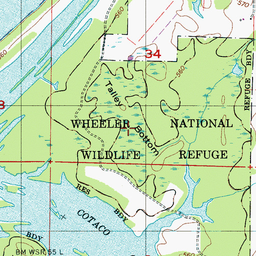 Topographic Map of Talley Bottom, AL