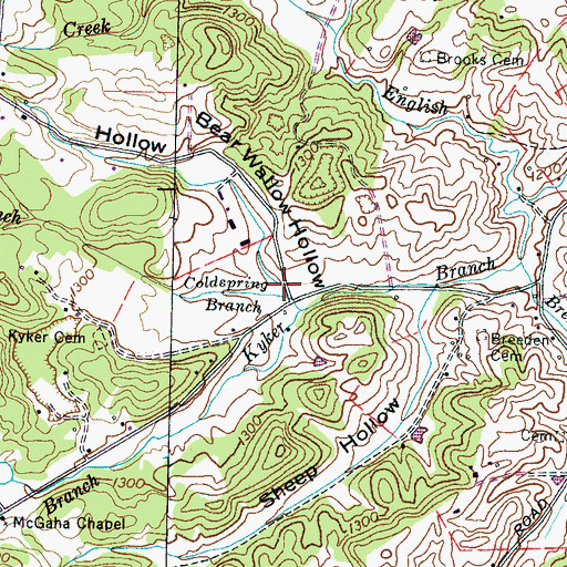 Topographic Map of Bear Wallow Hollow, TN