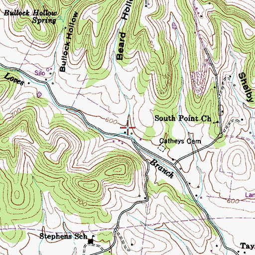 Topographic Map of Beard Hollow, TN