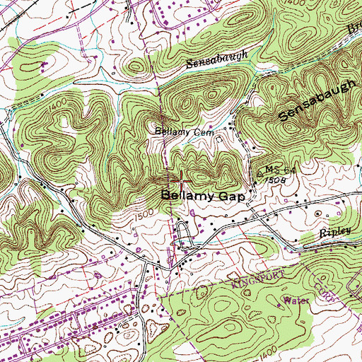 Topographic Map of Bellamy Gap, TN