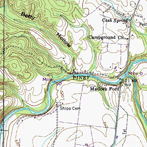 Topographic Map of Betty Hollow, TN
