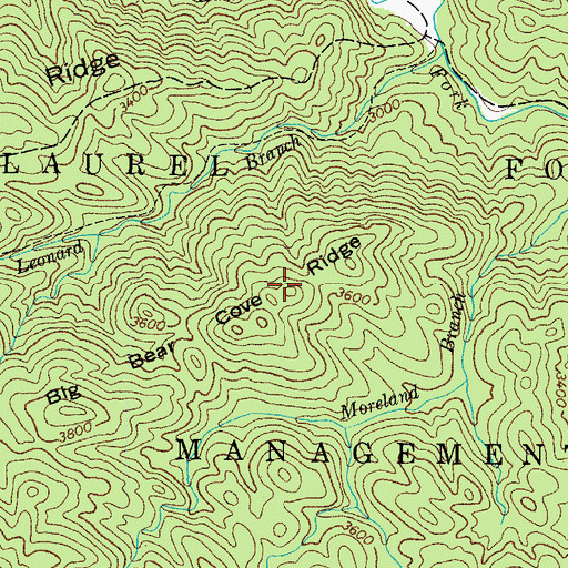 Topographic Map of Big Bear Cove Ridge, TN