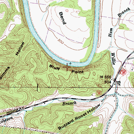 Topographic Map of Bluff Point, TN