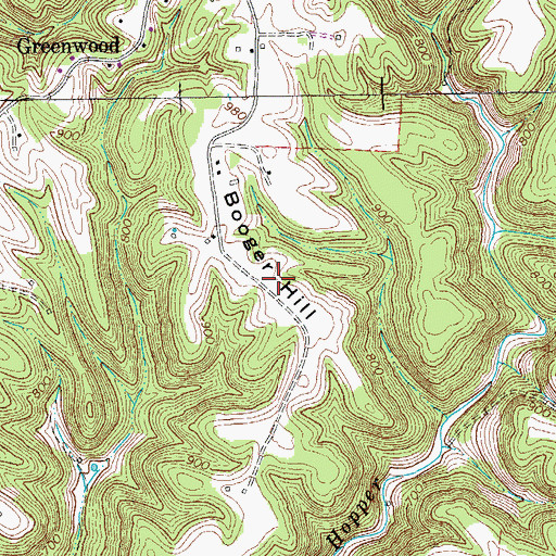 Topographic Map of Booger Hill, TN