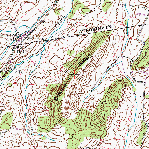 Topographic Map of Bowser Ridge, TN