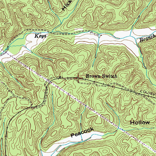 Topographic Map of Brown Switch, TN