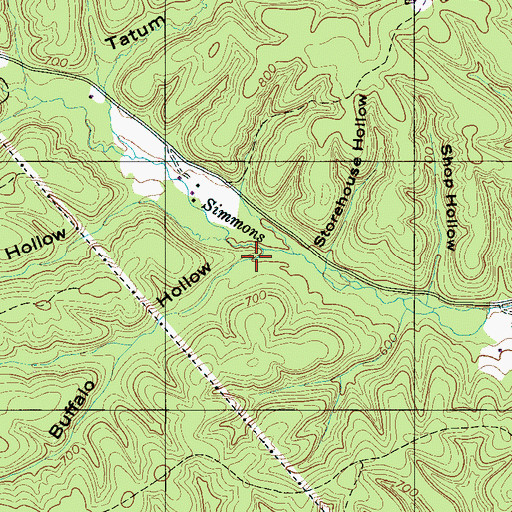 Topographic Map of Buffalo Hollow, TN