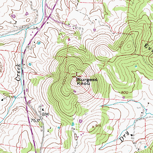 Topographic Map of Burgess Knob, TN