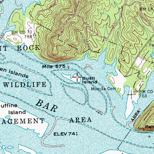 Topographic Map of Bush Island, TN