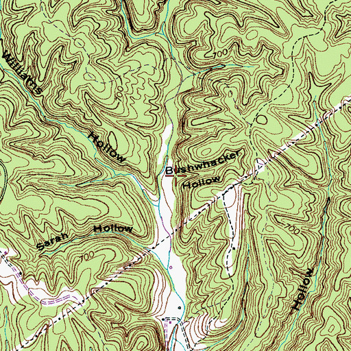 Topographic Map of Bushwhacker Hollow, TN