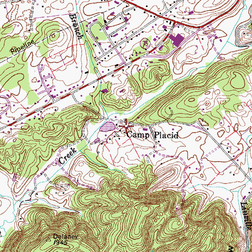 Topographic Map of Camp Placid, TN