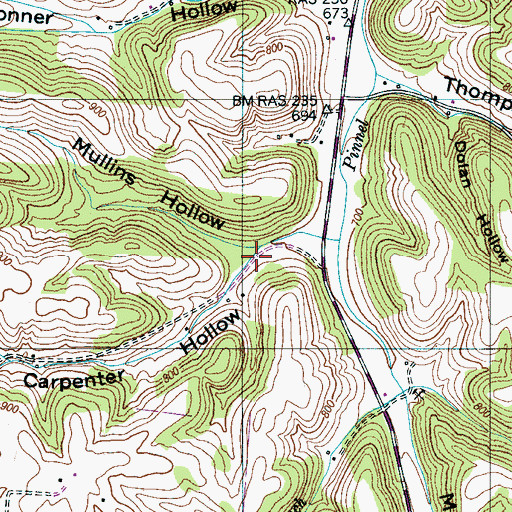 Topographic Map of Carpenter Hollow, TN