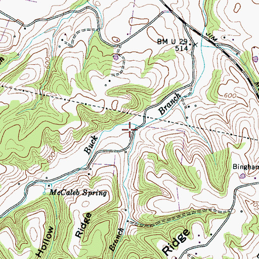 Topographic Map of Cave Branch, TN