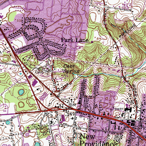 Topographic Map of Cave Spring, TN