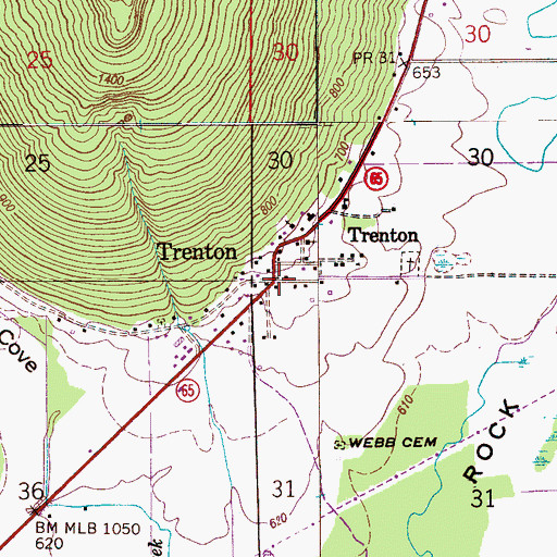 Topographic Map of Trenton, AL