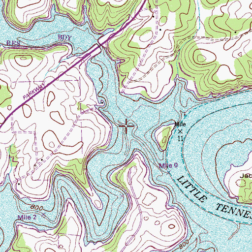 Topographic Map of Clear Prong, TN
