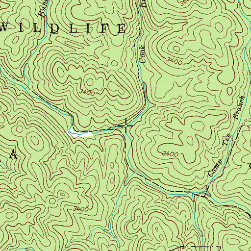 Topographic Map of Cook Branch, TN