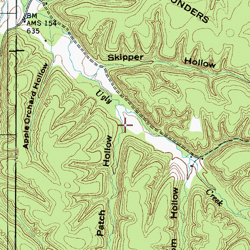 Topographic Map of Cotton Patch Hollow, TN