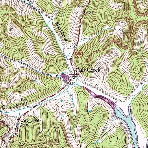 Topographic Map of Cub Creek, TN
