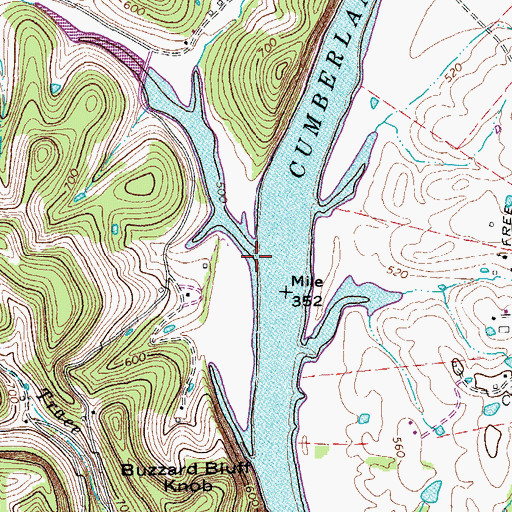 Topographic Map of Cub Creek, TN