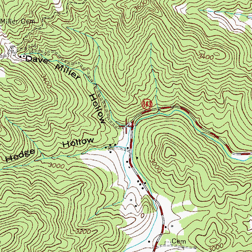 Topographic Map of Dave Miller Hollow, TN