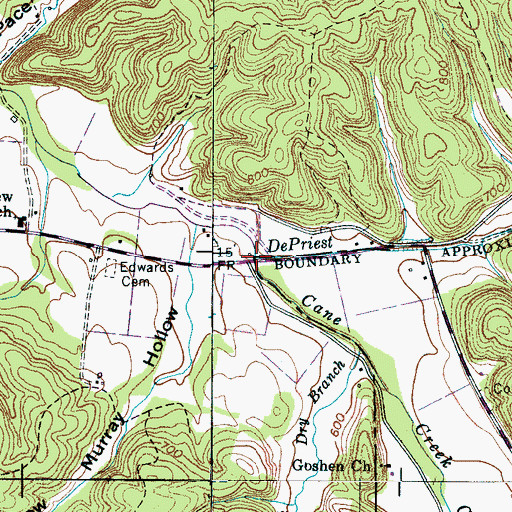 Topographic Map of DePriest Branch, TN